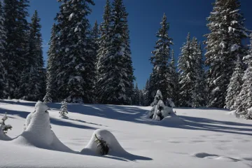 snow