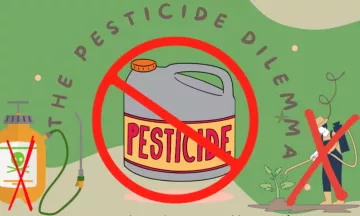 The Pesticide Dilemma
