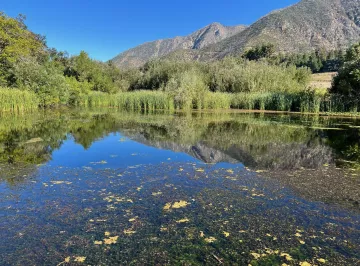 Pleasant Outdoor Lake Scene