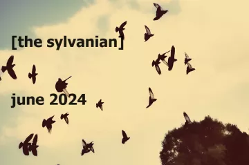 Flock of birds, image courtesy of hadi via Creative Commons