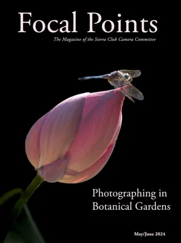 A dragonfly perches on a lotus flower bud at the Chicago Botanical Garden. 