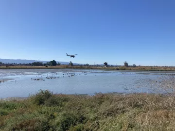 Airport at Baylands