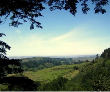 Tree branches frame wide view with sky, wispy clouds, and rolling hills landscape