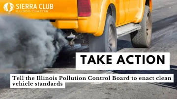 Take Action