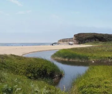 small stream with green on both sides merging into the ocean. Beach on the right. 