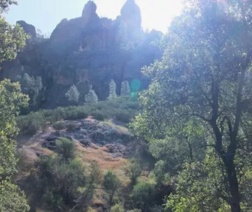 Pinnacles in morning light, with tree on right