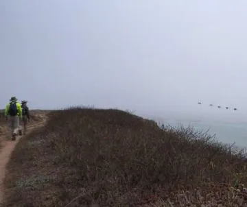 2 hikers walking along coastal bluff, ocean on right with 5 pelicans