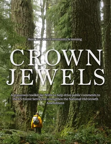 Crown Jewels documentary cover image