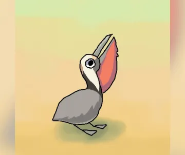 California Brown Pelican