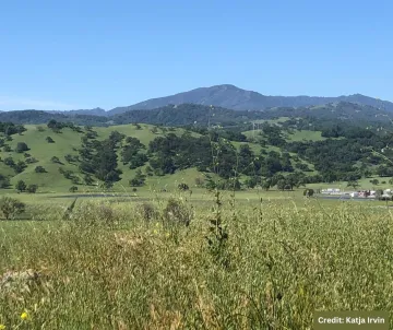Coyote Valley