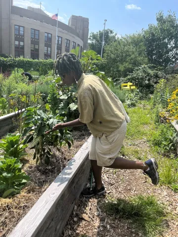 ‭ Me giving some greens a kiss at New Roots Community Farm (Bronx, NY).‬ 