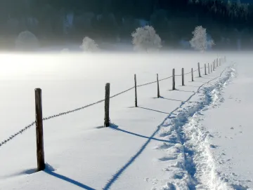 Path in the snow along a fence, heading toward the woods. Photo by Heinz Klier.