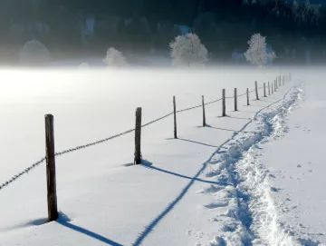 Path in the snow along a fence, heading toward the woods. Photo by Heinz Klier.