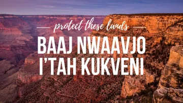 image of the grand canyon with BNIK text