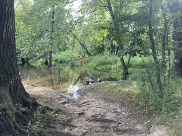 Forest Reserve in Cook County, Illinois