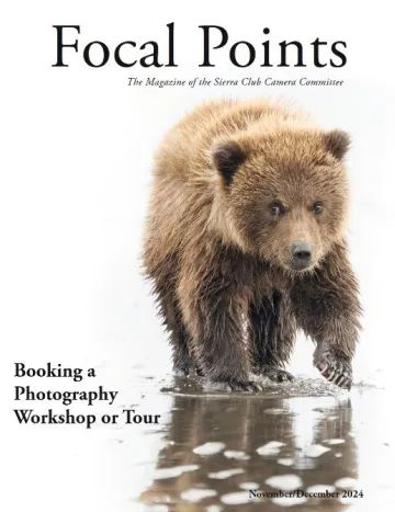 A young spirit bear eyes the photographer and is reflected in the water of a pond