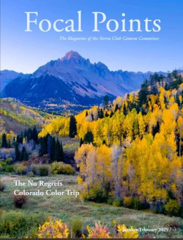 Fall colors landscape with a Mt Sneffels in early morning light at the back and a cascade of aspen trees in the foreground