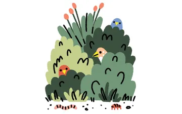 Illustration shows two birds poking out of a bush and a worm and bug on the ground.