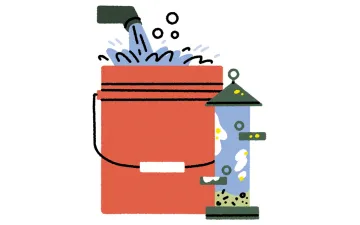 Illustration shows a red bucket with soap and water next to a bird feeder.