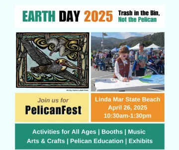 PelicanFest 2025