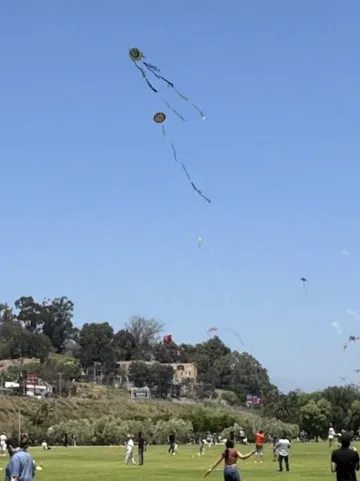 Kite Flying