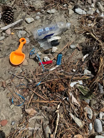 Plastic trash amongst beach debris 
