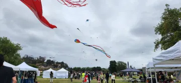 Kites flying at the festival