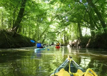 greens mill run, j monico