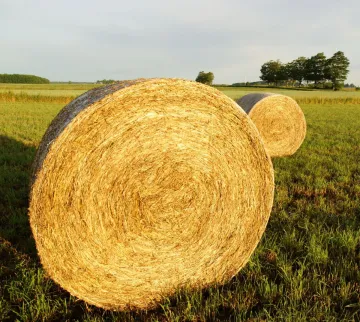 Farm Land