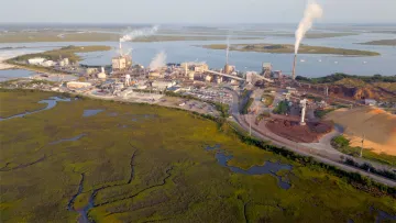 rayonier amelia island