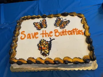 Save the Butterflies cake