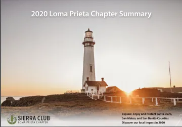Title page of 2020 summary