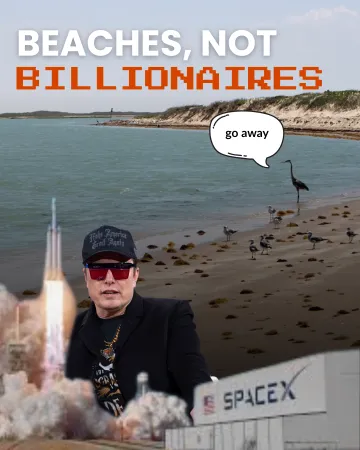 beaches not billionaires