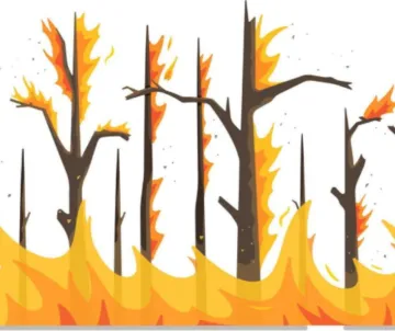 Fire hazard severity zone