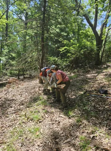 volunteers clearing a trail at Cumberland Knob Recreation Area
