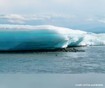 Glacier