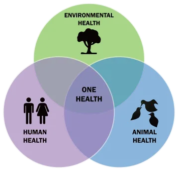 One Health