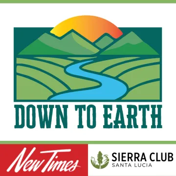 Logo for Down to Earth columns in New Times that are written by Gianna Patchen and Andrew Christie