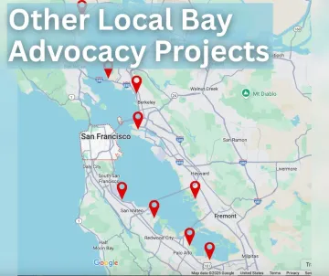 Other local Bay advocacy projects