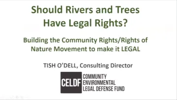 Should Nature have Rights?