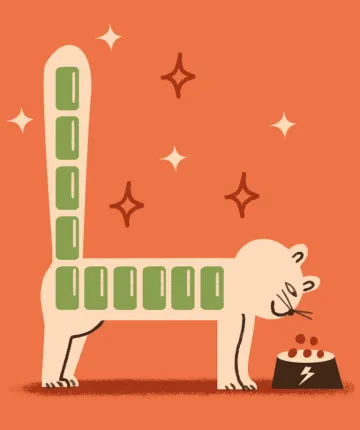  Illustration shows a side view of a cat and a bowl of kibble