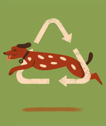 Illustration shows a brown spotted dog jumping through a recycling triangle of arrows