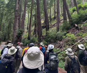 Forest educational hike