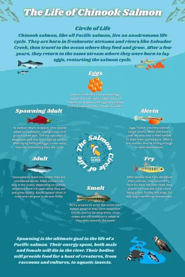 Salmon signage