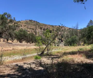 Pacheco Reservoir