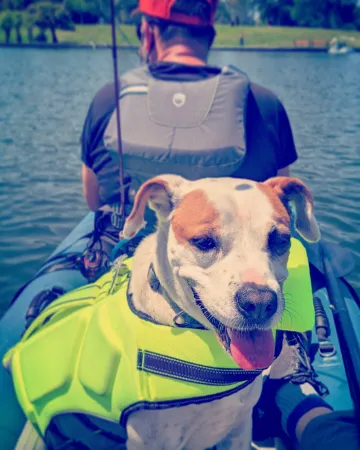 My Dog In Her Lifejacket On Our Inflatable Kayak