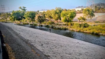Glendale Narrows