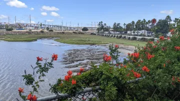 LA River Estuary in Long Beach