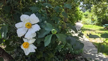 Emerald Necklace Whittier Narrows Nature Center