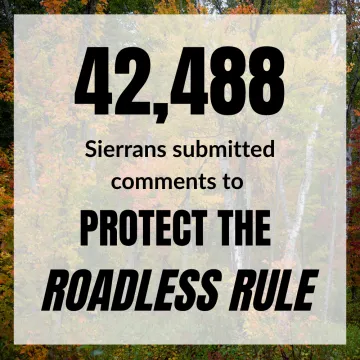 Roadless Rule